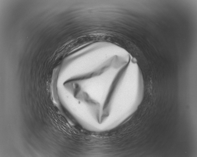 X0000085020821200704021425