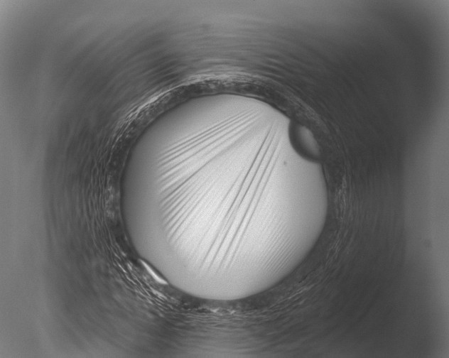 X0000085020822200704021425