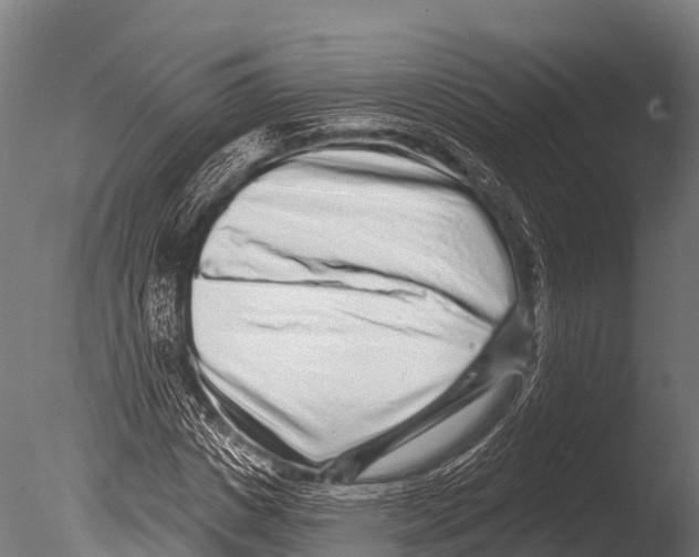 X0000085020825200704021425