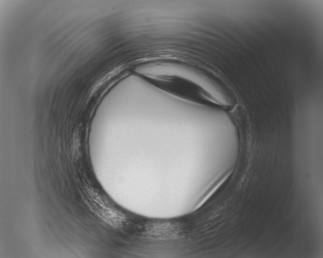 X0000085020826200704021425