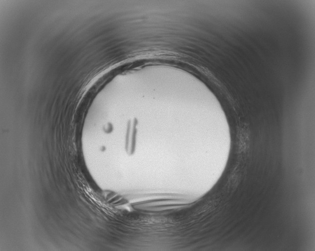 X0000085020830200704021425