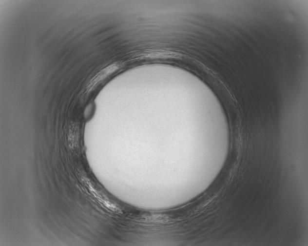 X0000085020833200704021425