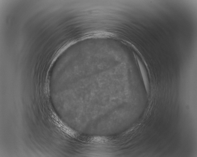 X0000085020835200704021425