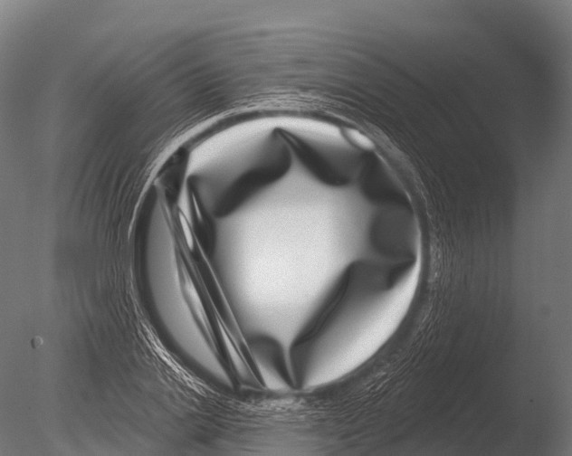 X0000085020838200704021425