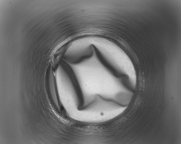 X0000085020842200704021425