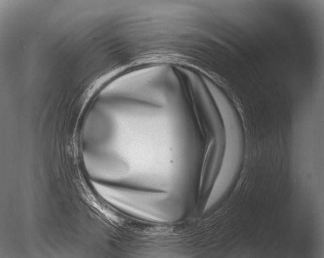 X0000085020846200704021425