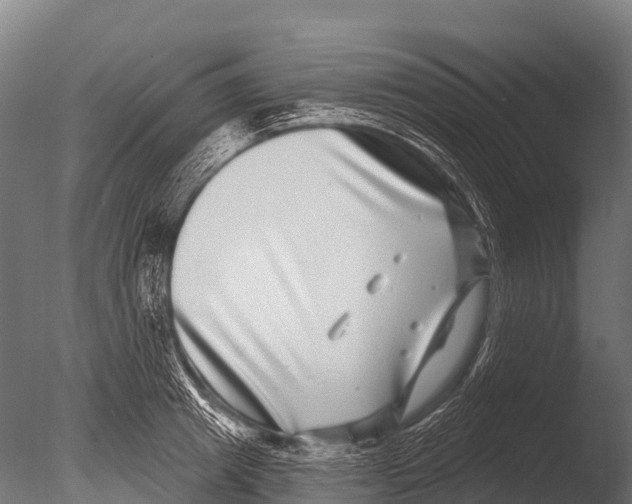 X0000085020849200704021425