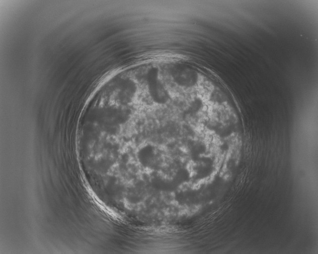 X0000085020851200704021425
