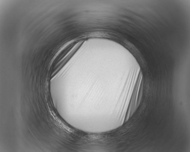 X0000085020852200704021425