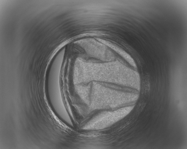 X0000085020853200704021425