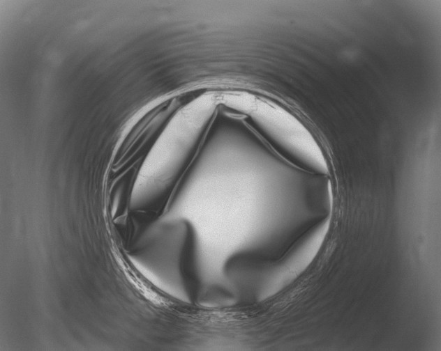 X0000085020862200704021425