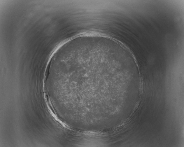 X0000085020863200704021425