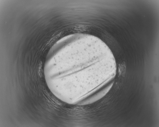 X0000085020867200704021424