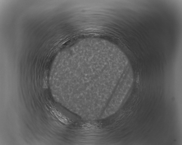 X0000085020868200704021424