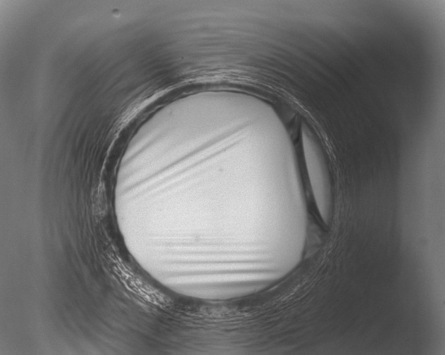 X0000085020876200704021424
