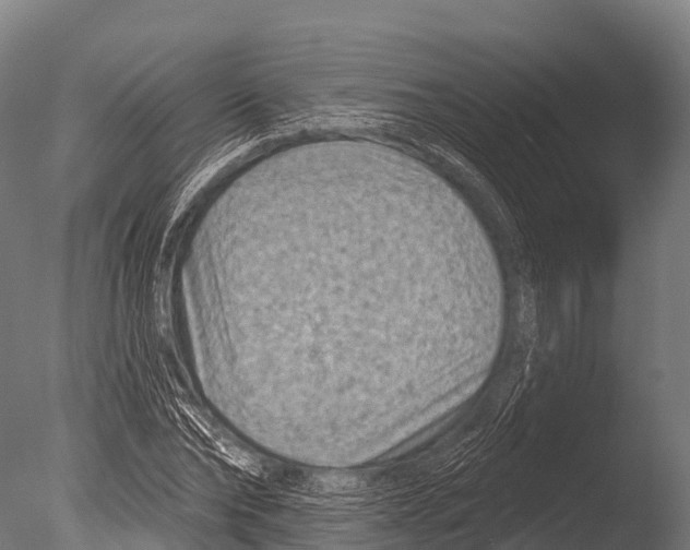 X0000085020878200704021424