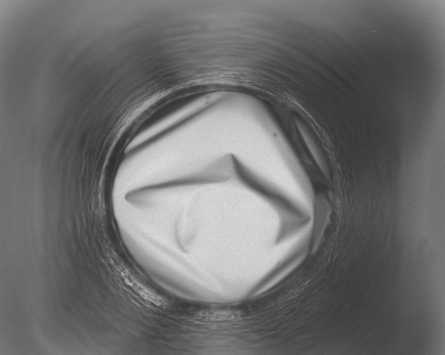 X0000085020884200704021424
