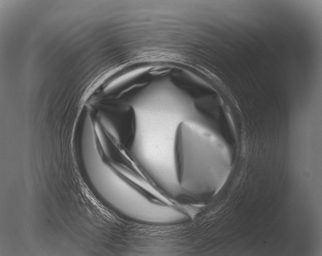 X0000085020885200704021424