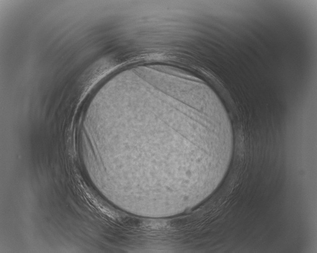 X0000085020886200704021424