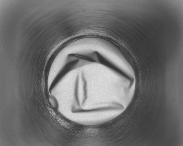 X0000085020888200704021424