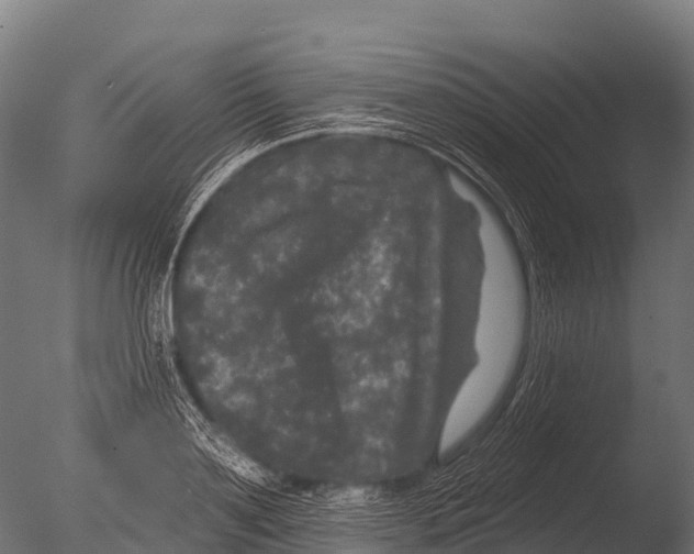 X0000085020891200704021424