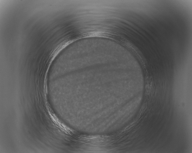X0000085020892200704021424