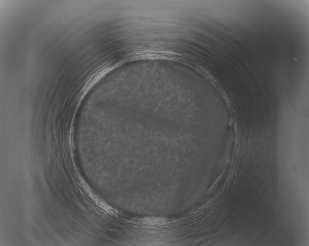 X0000085020893200704021424