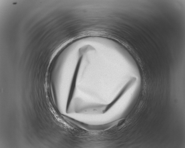 X0000085020904200704021424