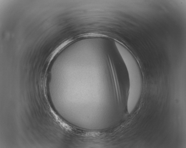 X0000085020909200704021424