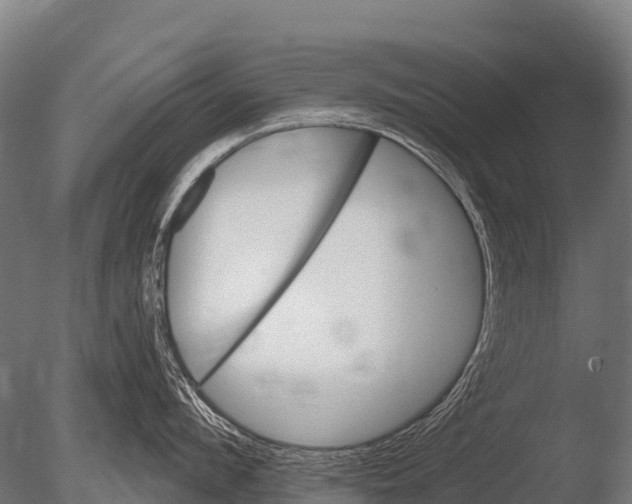 X0000085020912200704021424