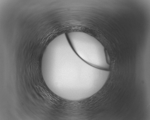 X0000085020916200704021423