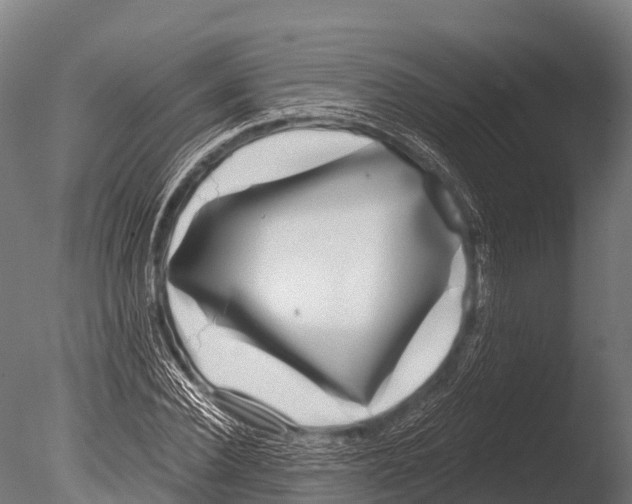 X0000085020924200704021423