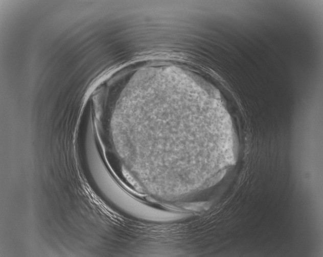 X0000085020928200704021423