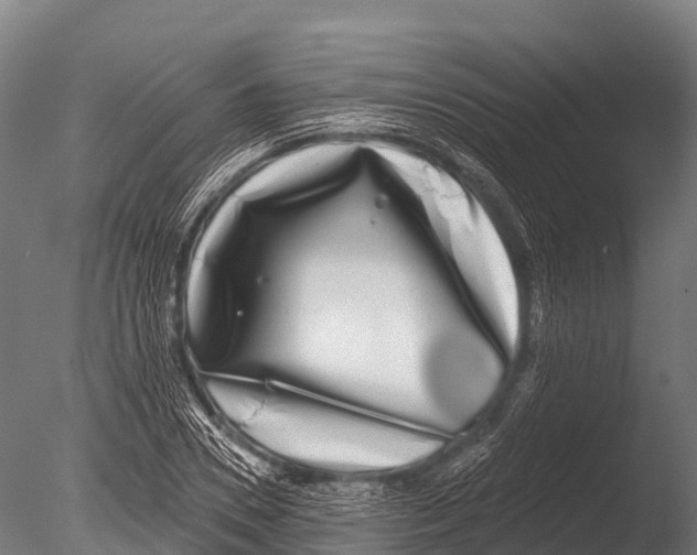 X0000085020930200704021423
