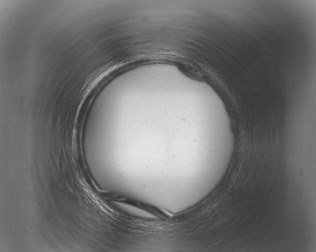 X0000085020932200704021423