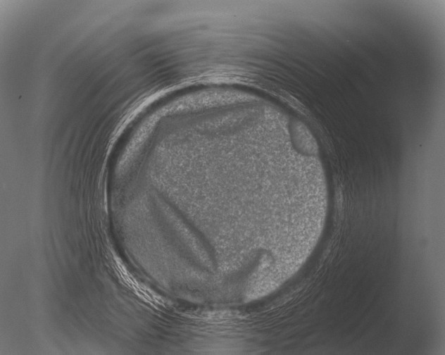 X0000085020934200704021423