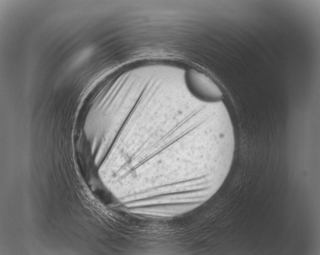 X0000085020935200704021423