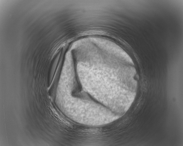 X0000085020937200704021423