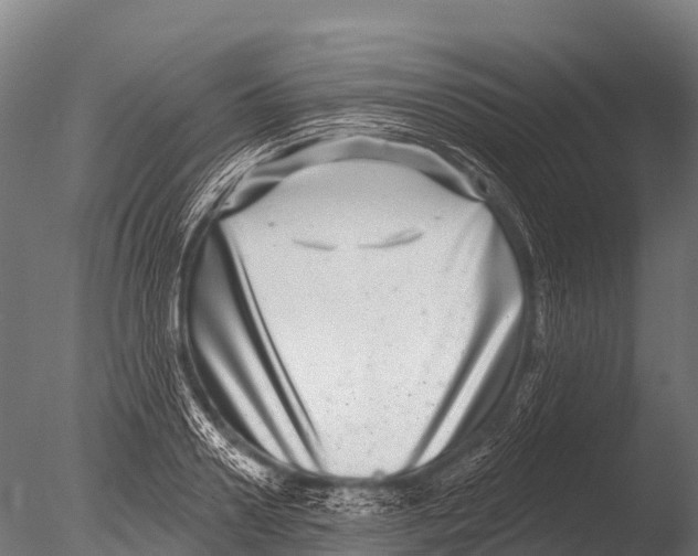 X0000085020938200704021423