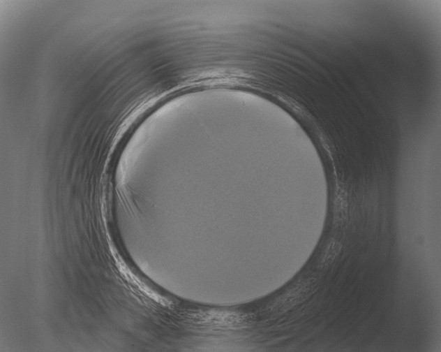 X0000085020941200704021423