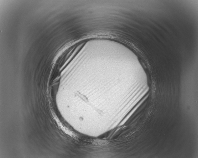 X0000085020944200704021423