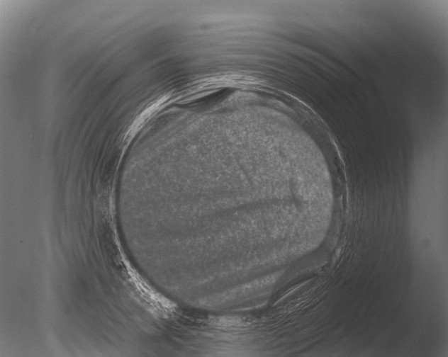 X0000085020946200704021423