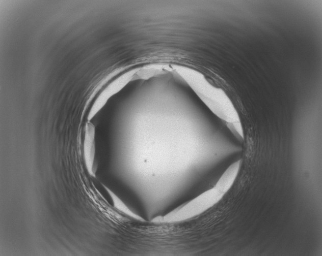 X0000085020948200704021423