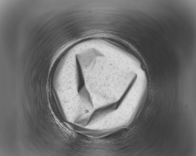 X0000085020951200704021423