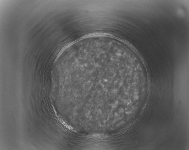 X0000085020953200704021424
