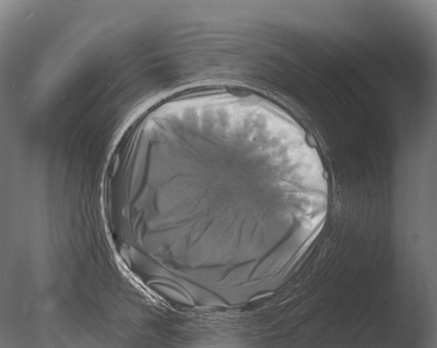 X0000085020958200704021424