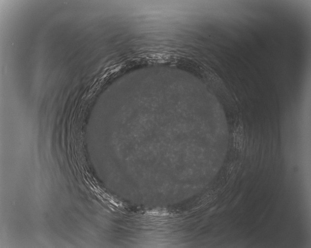 X0000085020961200704021423