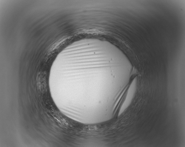 X0000085020968200704021423