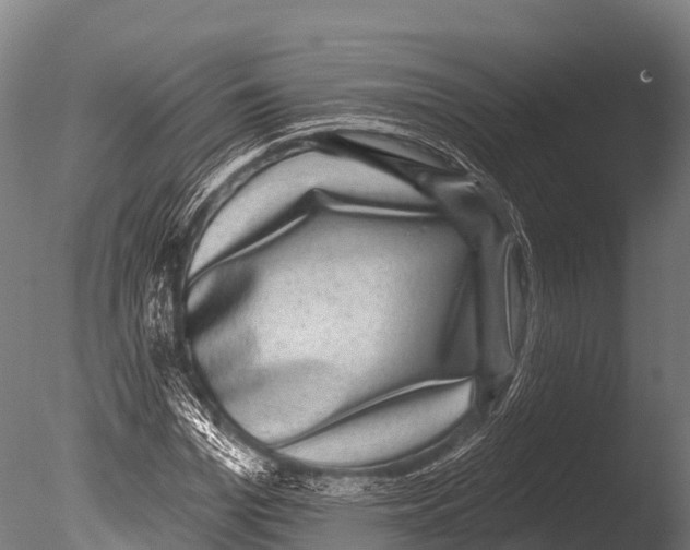 X0000085020969200704021423
