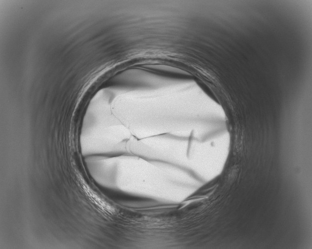 X0000085020976200704021423